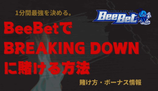 BeeBet(ビーベット)のブレイキングダウン12の賭け方！ボーナス情報、儲かるかについても解説